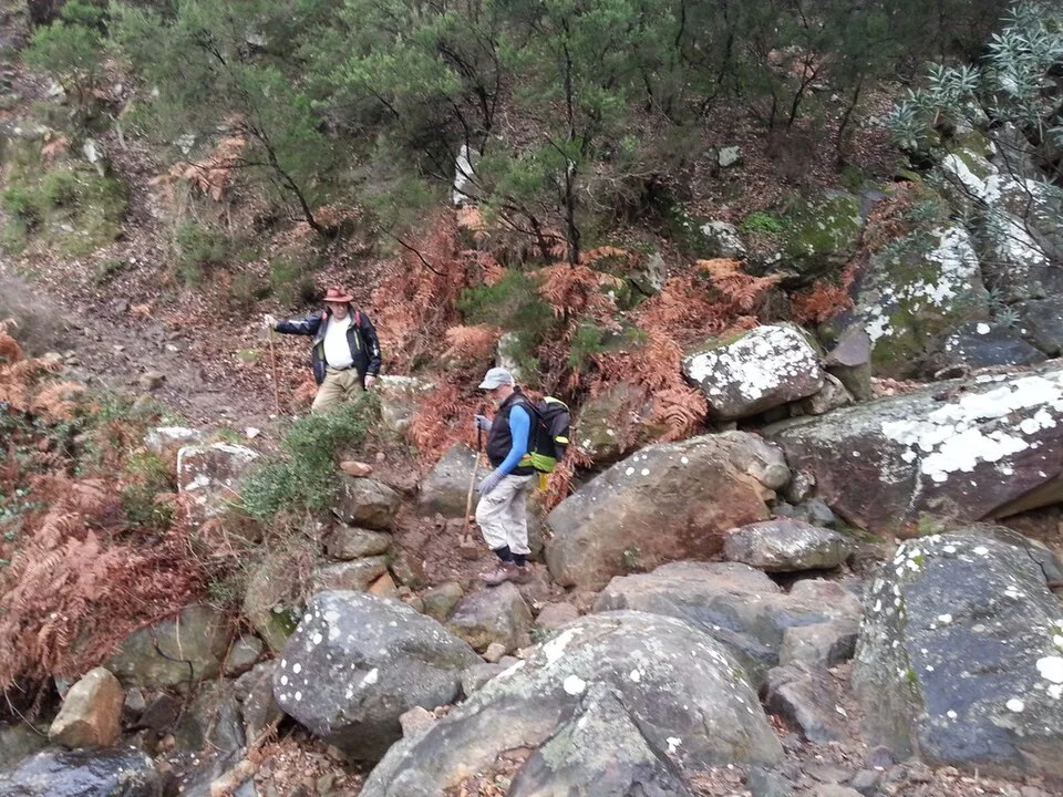Esclarecidas, arroyo de la Fuensanta