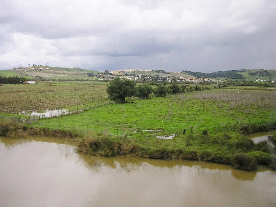 Marismas del río Palmones