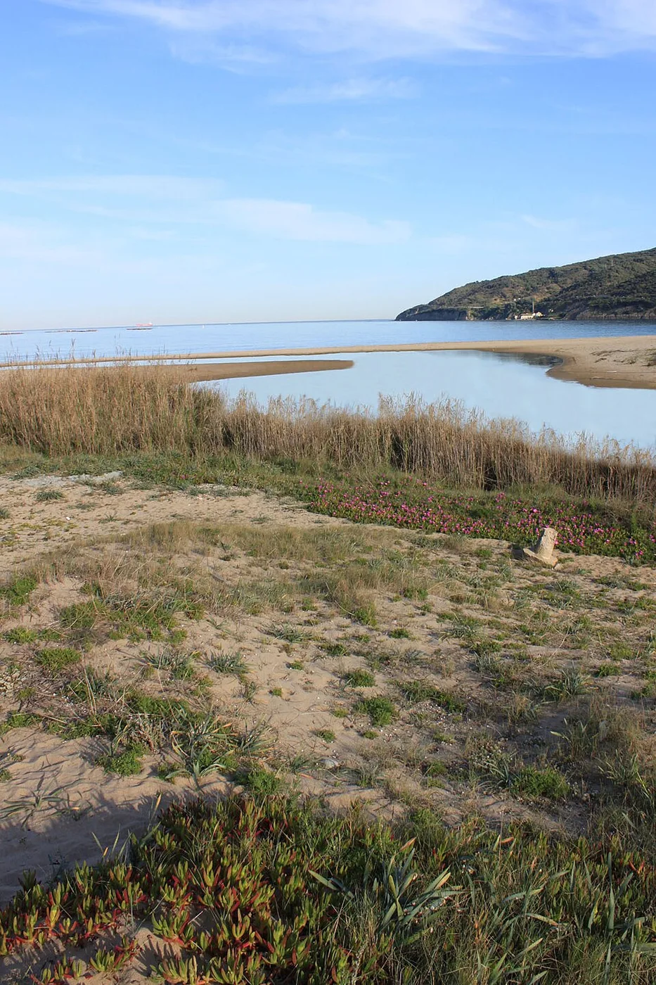 Desembocadura del río Pícaro en Getares