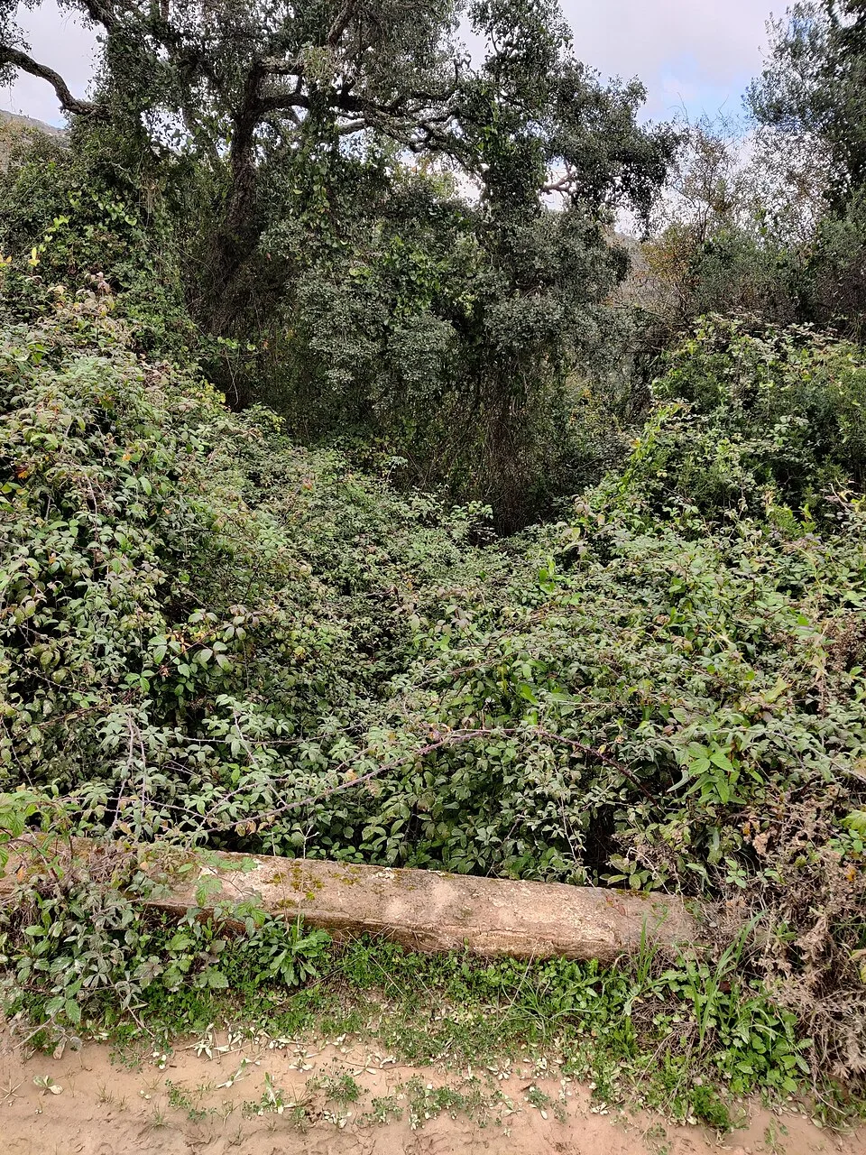 Sendero Valdeinfierno